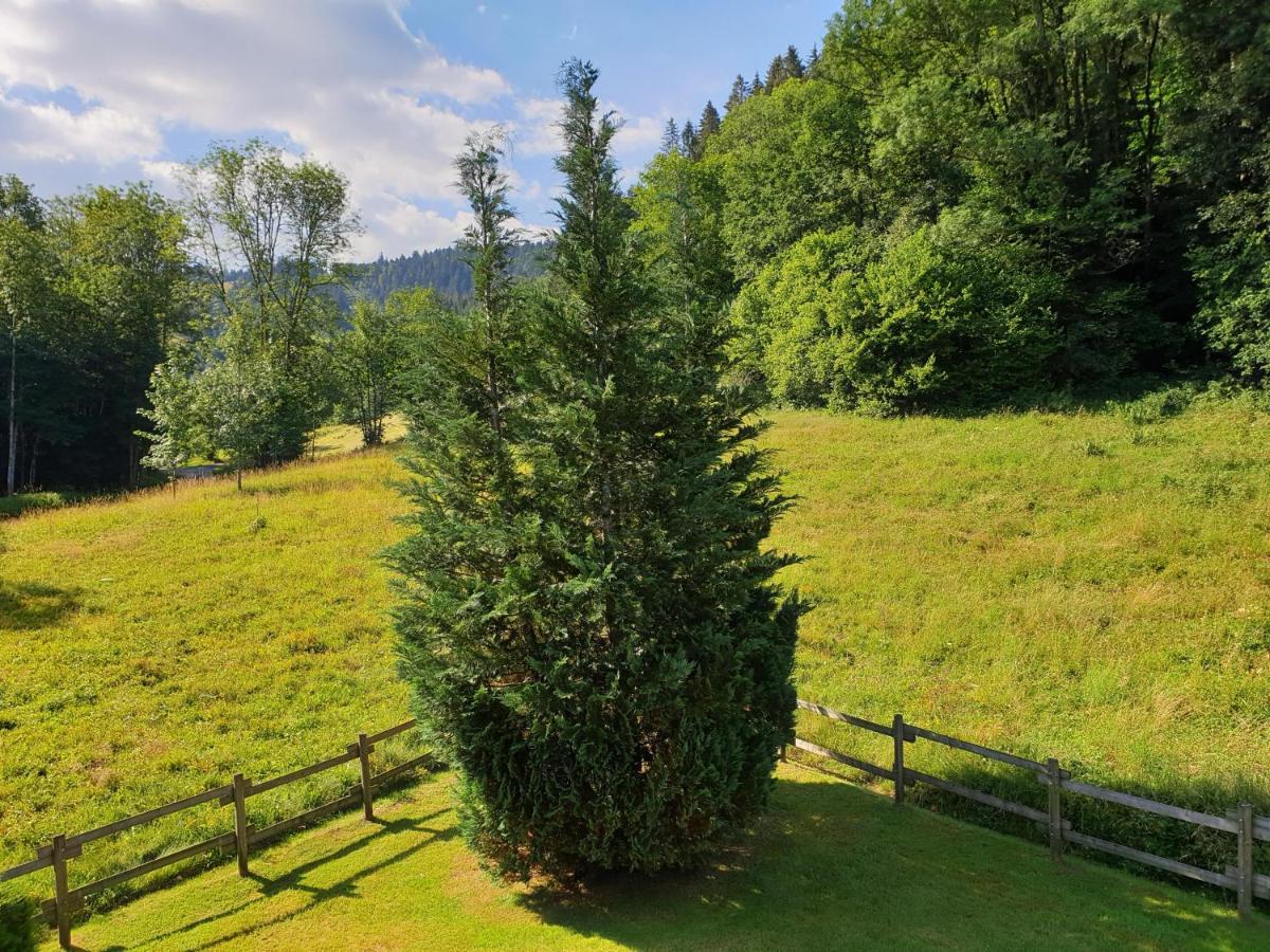 LE BOIS JOLI Chalet 4 étoiles CLEDICIHOME Cadre paisible en lisière de forêt Gérardmer Exterior foto